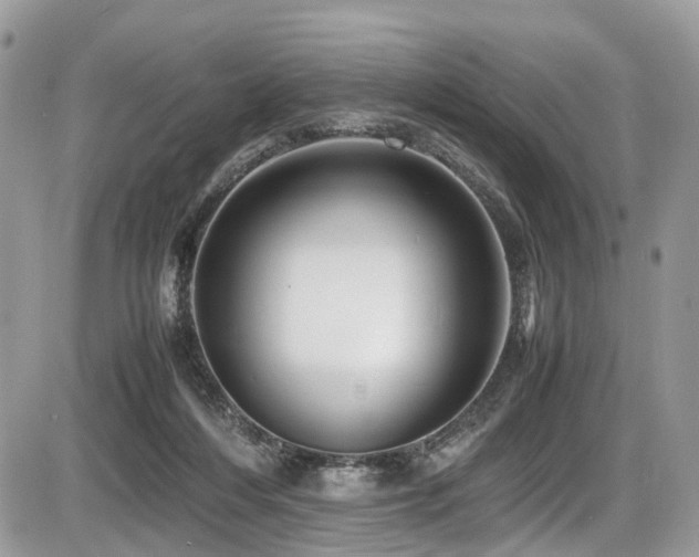 X0000087420216200704201434