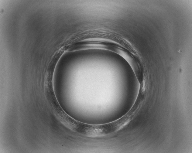 X0000087420217200704201434