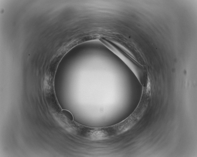 X0000087420218200704201434