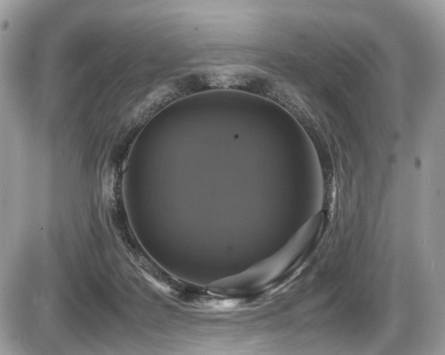 X0000087420219200704201434