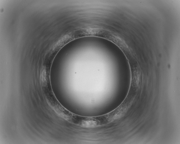 X0000087420220200704201434