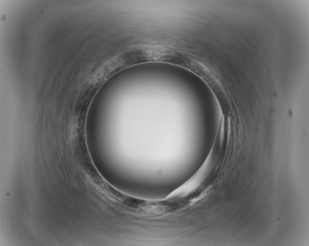 X0000087420221200704201434