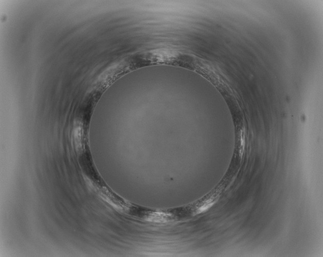 X0000087420222200704201434