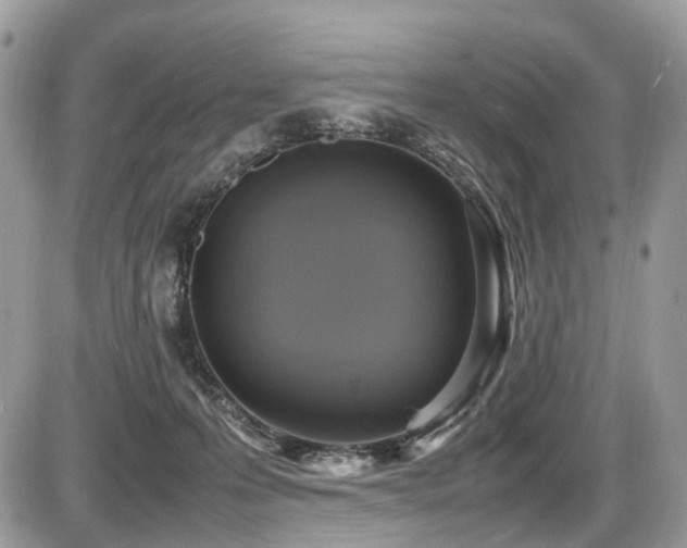 X0000087420223200704201434