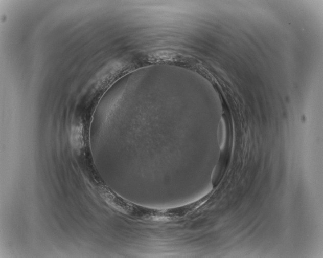 X0000087420224200704201434