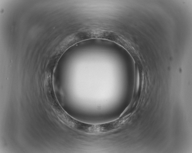 X0000087420225200704201434