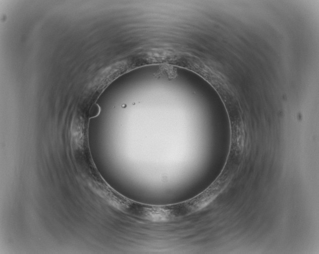 X0000087420226200704201434