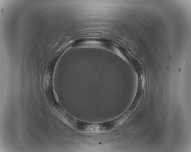 X0000087420227200704201434