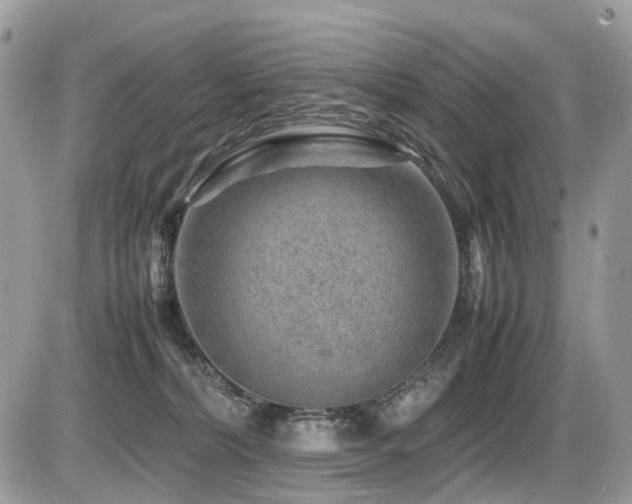 X0000087420228200704201434