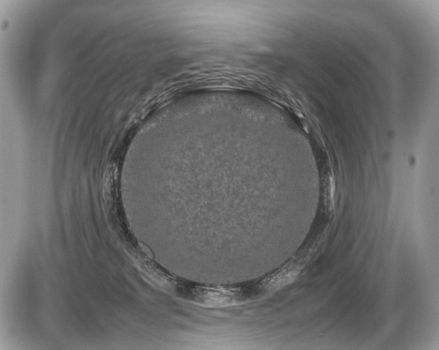 X0000087420229200704201434