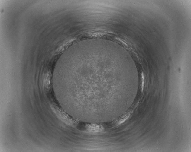 X0000087420230200704201434