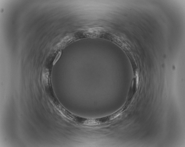 X0000087420231200704201434