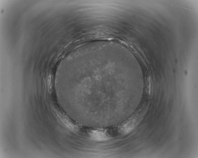 X0000087420232200704201434