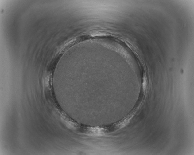 X0000087420233200704201434