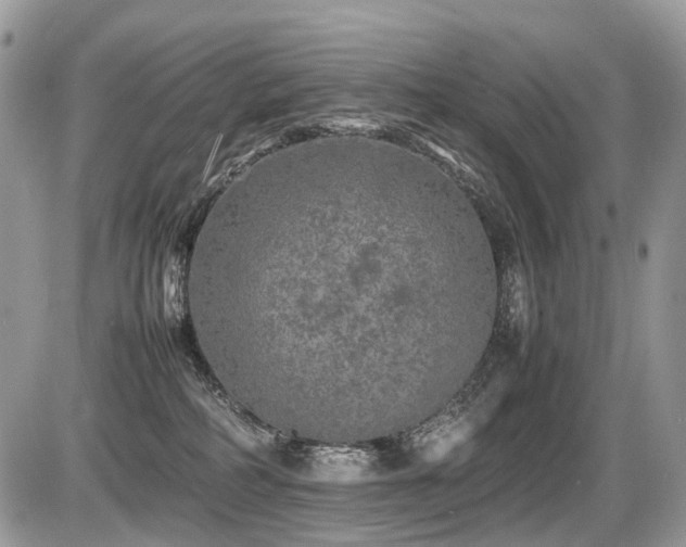 X0000087420234200704201434