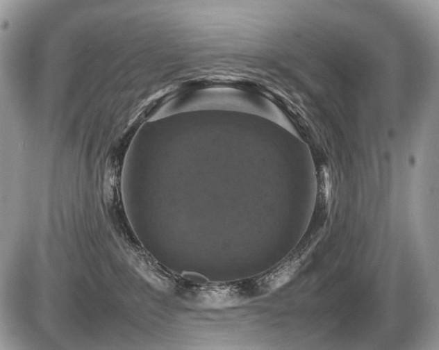 X0000087420235200704201433