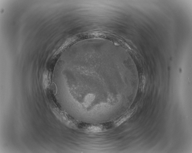 X0000087420236200704201433