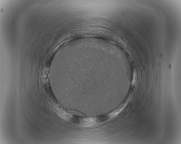 X0000087420237200704201433