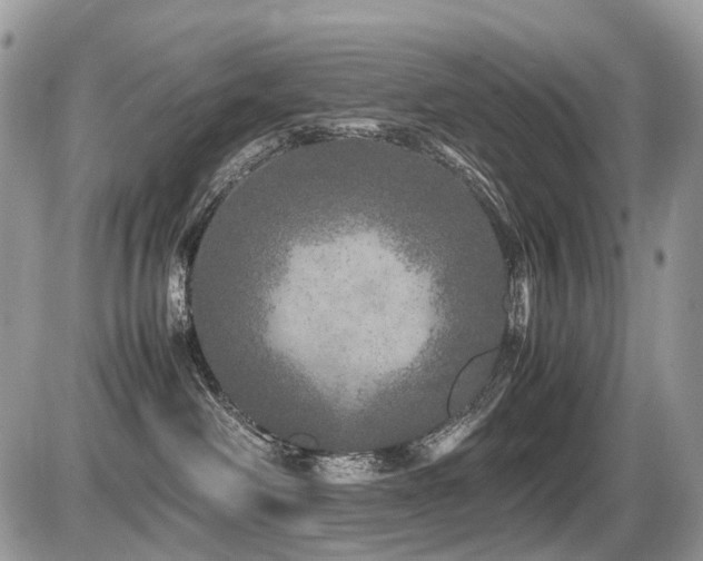 X0000087420238200704201433