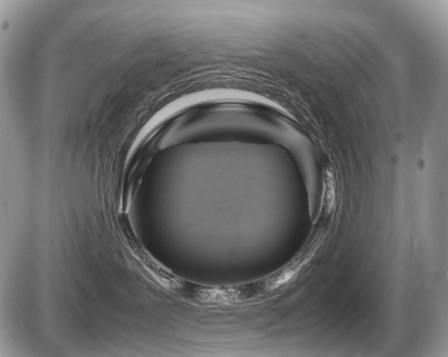 X0000087420239200704201433