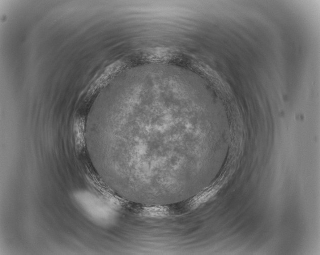 X0000087420240200704201433