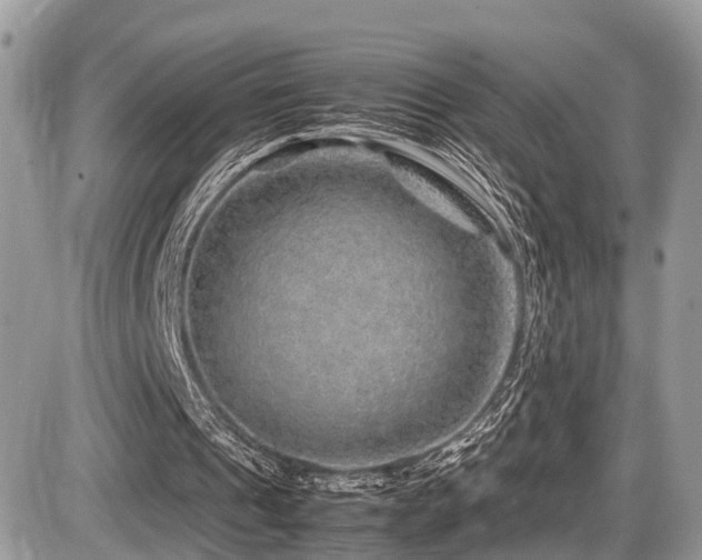 X0000087420241200704201433