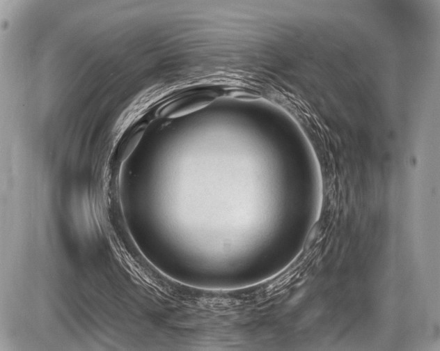 X0000087420242200704201433