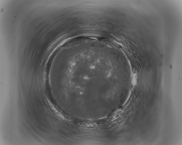 X0000087420243200704201433