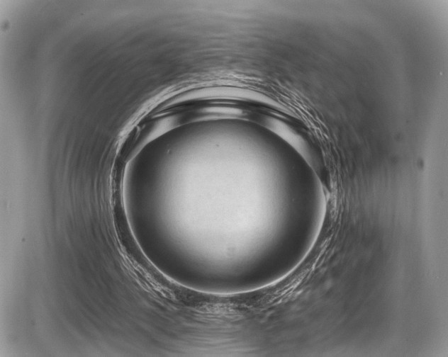 X0000087420244200704201433