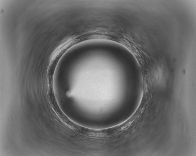 X0000087420245200704201433