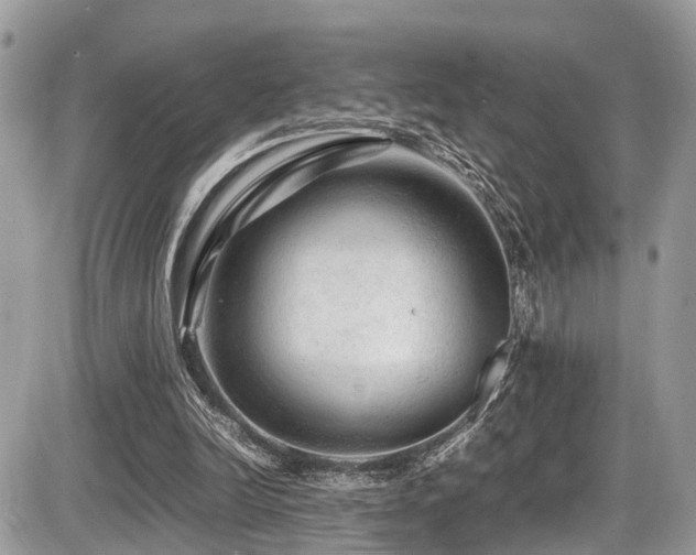 X0000087420246200704201433