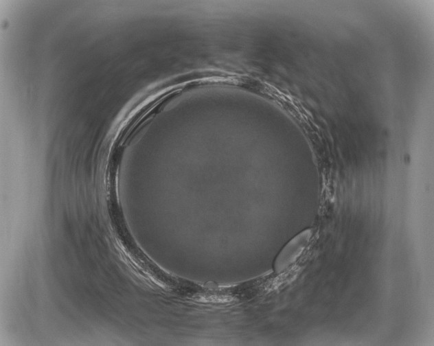 X0000087420247200704201433