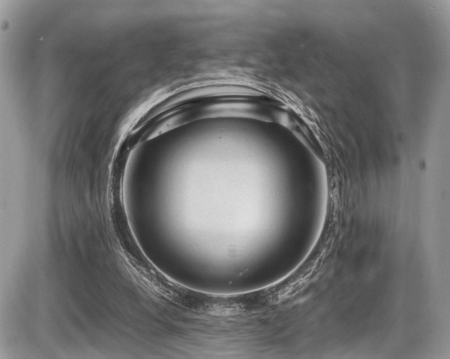 X0000087420248200704201433