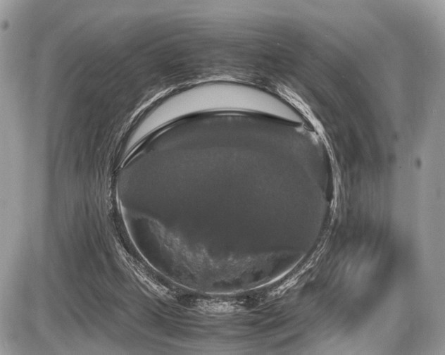 X0000087420249200704201433