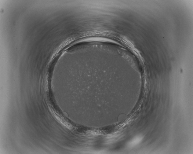 X0000087420250200704201433