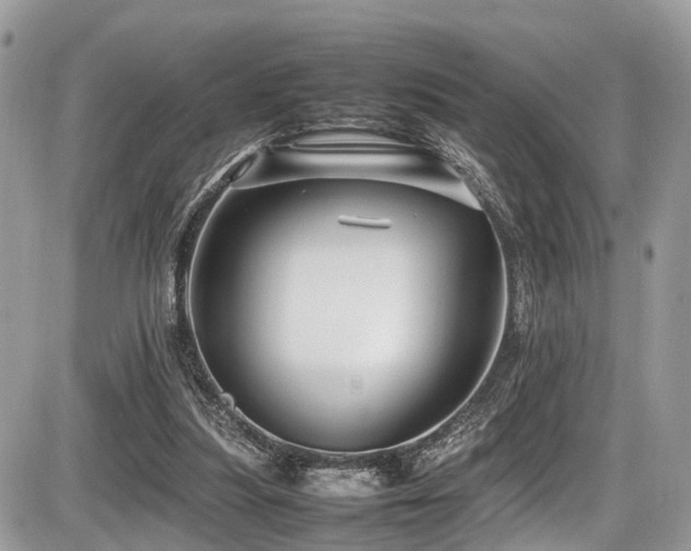 X0000087420251200704201433