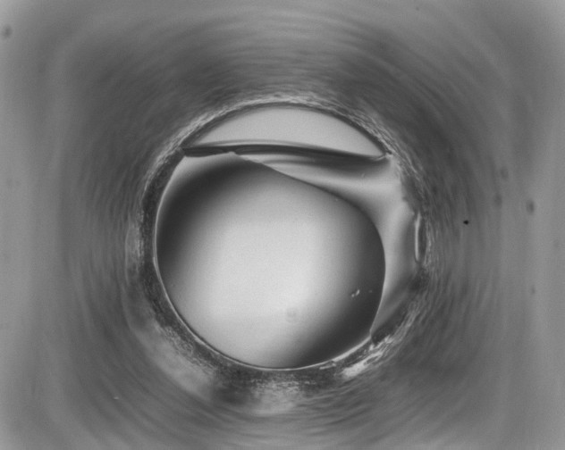 X0000087420252200704201433