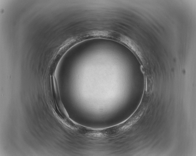 X0000087420253200704201433