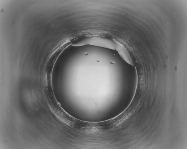 X0000087420254200704201433