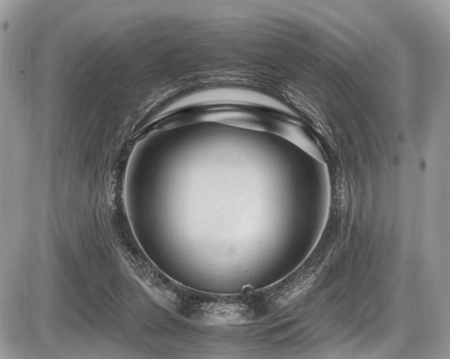 X0000087420255200704201433