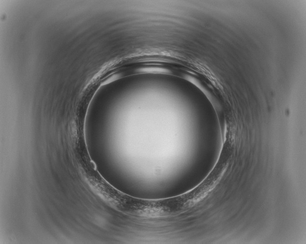 X0000087420256200704201433