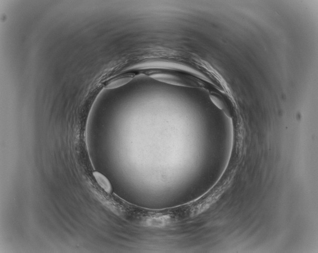 X0000087420257200704201433