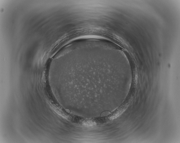 X0000087420258200704201433