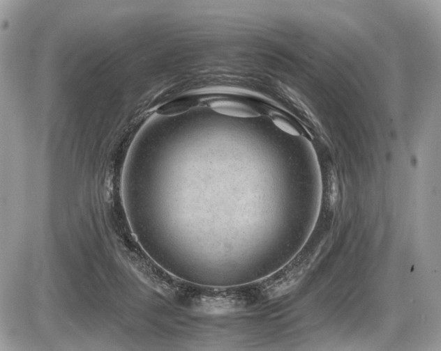 X0000087420259200704201433