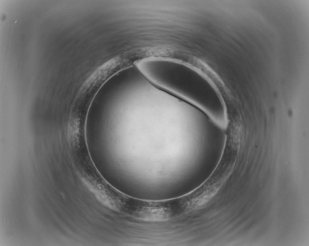 X0000087420260200704201433