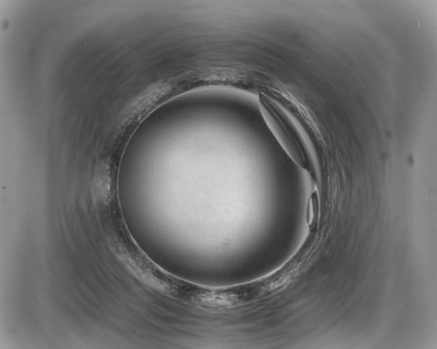 X0000087420261200704201433