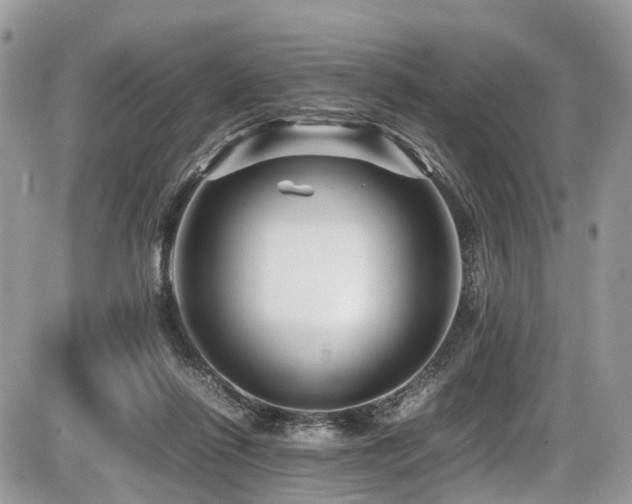 X0000087420262200704201433