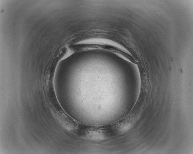 X0000087420263200704201433