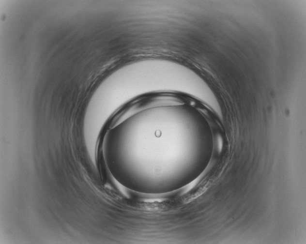 X0000087420264200704201433