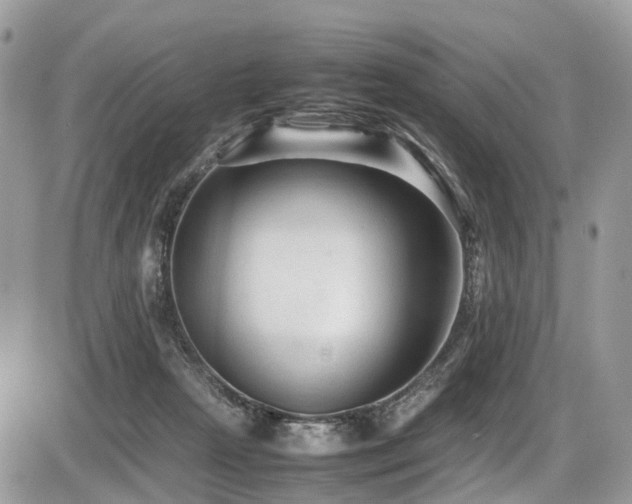 X0000087420265200704201433